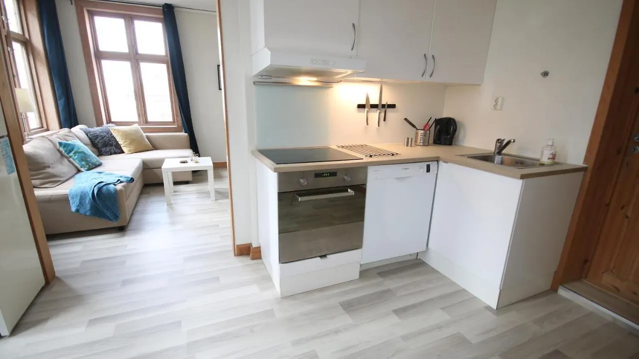 Large Apartment Supercentral Bergen