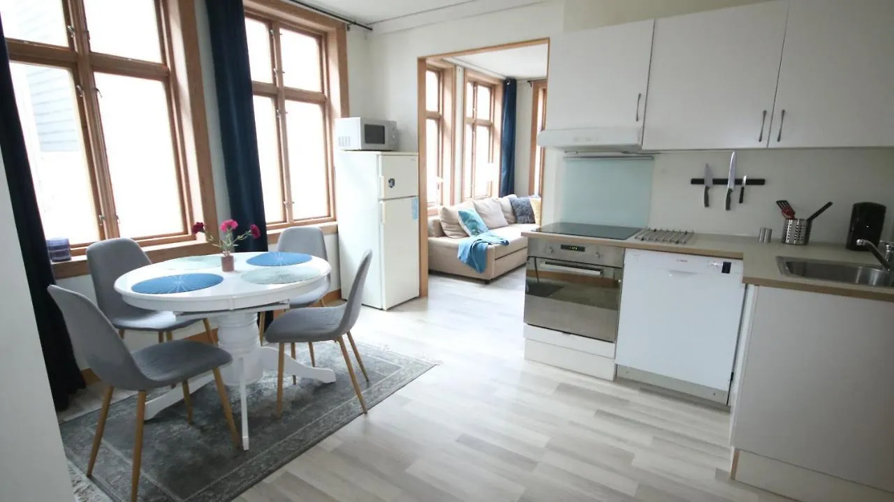 Large Apartment Supercentral Bergen